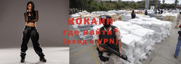 спиды Каменка