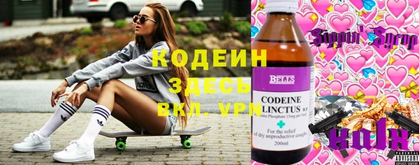 спиды Каменка