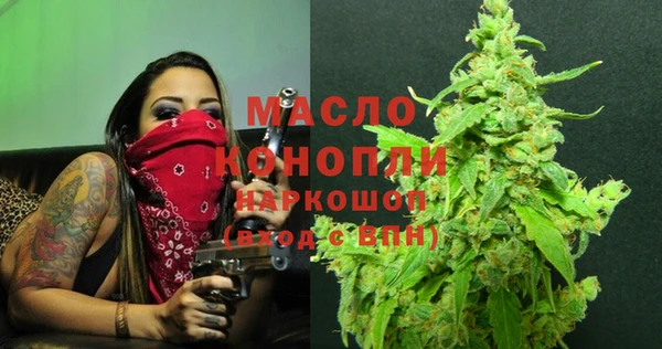 спиды Каменка