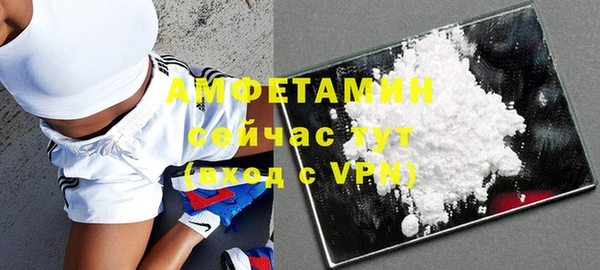 спиды Каменка