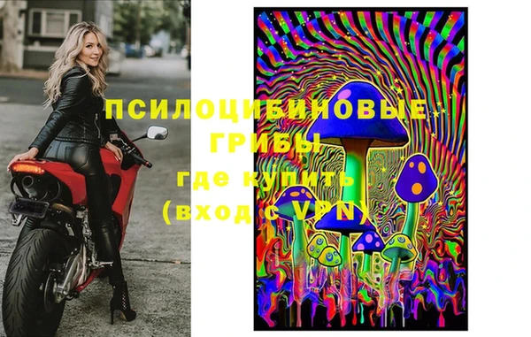 ECSTASY Каменск-Шахтинский