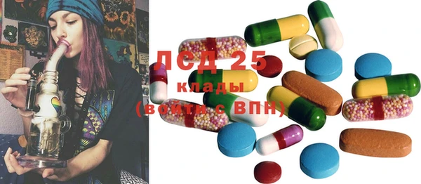 спиды Каменка